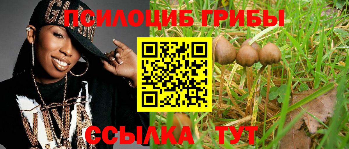 Галлюциногенные грибы мухоморы  Вход с VPN  Слободской  где купить   Псилоцибиновые грибы GOLDEN TEACHER 